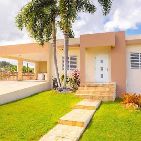 Arenales Vacational House Βίλα Isabela Εξωτερικό φωτογραφία